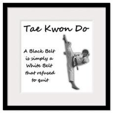 taekwondo quote i like more taekwondo girls taekwondo quotes