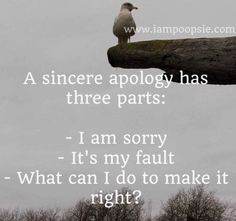 Sincere apology quote