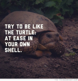 Try to be like the turtle at ease in your own shell