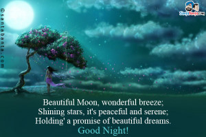 Beautiful Moon, wonderful breeze;