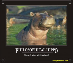 Philosphical Hippo Demotivation Demotivational Posters