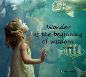 Wonder is the beginning of wisdom.