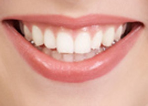 ... teeth re-grow in just weeks, which could in turn mean an end to