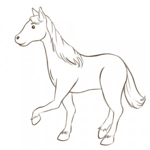 How to Draw a Easy Horse Head