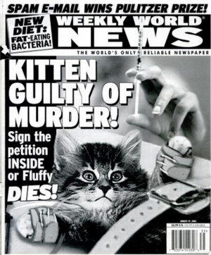 Kitten Guilty Of Murder!