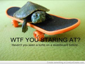 quotes and sayings skateboarding quotes life of a skateboarding quotes ...