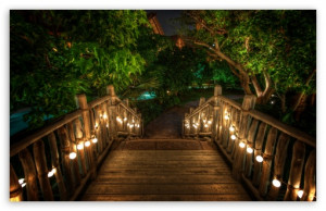 beach, bridge, lights, love, nature, romantic, summer, travel, tree ...