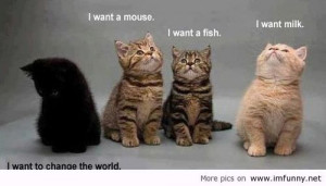 and derpina funny animals with sayings Favim.com 6 large funny quotes ...