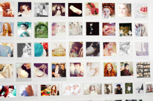 Maxon’s Polaroids