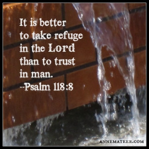 Psalm 118:8 (KJV)~~It is better to trust in the Lord than to put ...