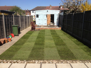 Striped Lawn