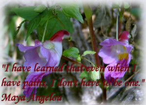 Maya Angelou Pictures, Images and Photos