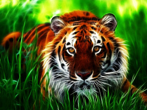Tag: Tiger 3D Wallpapers, Images, Photos, Pictures and Backgrounds for ...