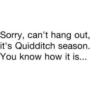Quidditch Harry Potter Quote By:: Sydney USE!!!