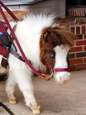 William Thomas Cain / Getty Images