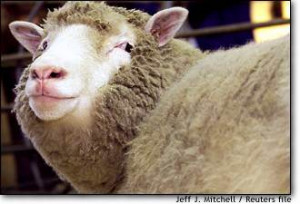 Dolly was born in 1996. When her birth was announced in 1997 it caused ...