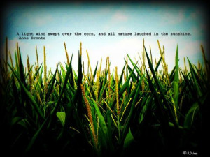 Anne Bronte sunshine quote