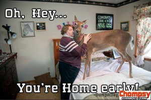 oh hey youre home early deer