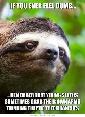 Stupid Quotes Stupidity Quotes Dumb Quotes Sloth Quotes
