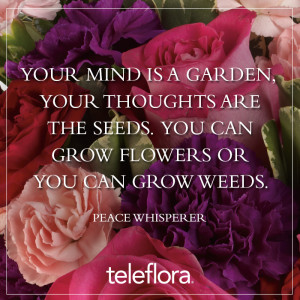 ... thoughts are the seeds, you can grow flowers or you can grow weeds