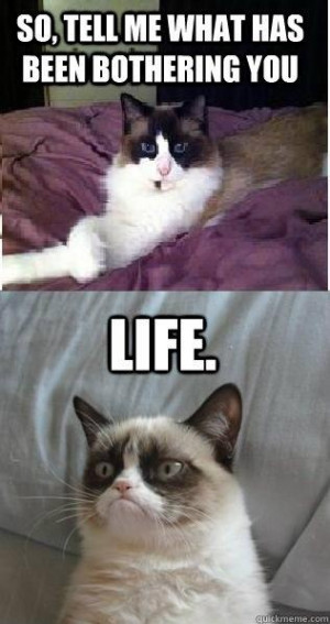 Grumpy Cat – So tell me, what has been bothering you…