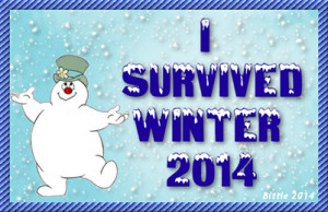 Cold Weather Quotes For Facebook I survived winter 20114