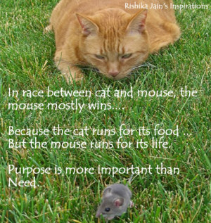 Purpose Quotes, Pictures, Survival Quotes - In race between cat and ...