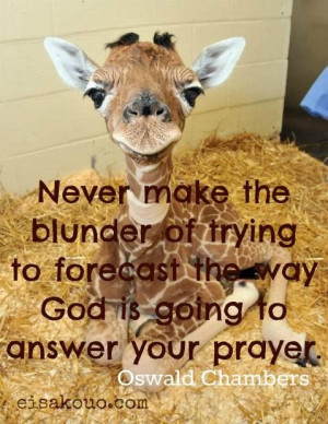 Never make the blunder of trying to forecast the way god is going to ...