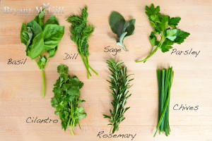 fresh herbs and discover the beauty of natural flavors use fresh herbs ...