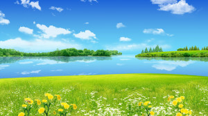 Sunny spring day wallpaper