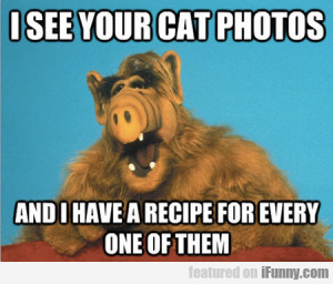 See Your Cat Photos...