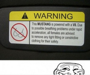 for a ride in it.Funny Things, Mustangs Cars, Mustangs Warning, Funny ...