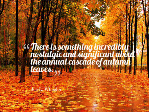 10 of My Favorite Fall Quotes | Quoty