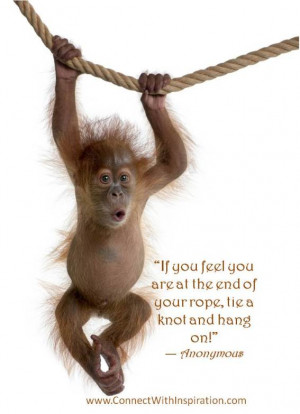 Difficult Times, Hang on quote, Monkey hanging from a rope picture