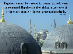 Happiness cannot be traveled to, owned, earned, worn or consumed ...