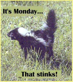 Monday Stinks