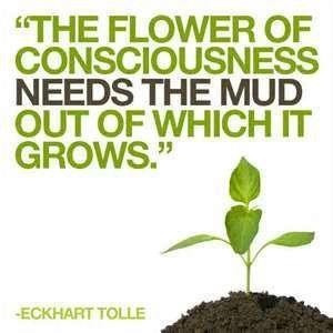 seeds need fertile soil
