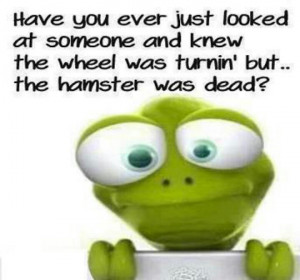 The wheels turning but the hamster is dead... | One Laugh a Day Kee...