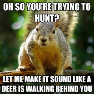 10 Best Hunting Memes