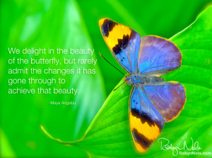 butterfly inspirational quotes QuotationsPage.com and Michael Moncur.