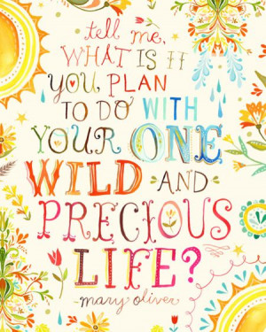tell me, what is it you plan to do with your one wild and precious ...