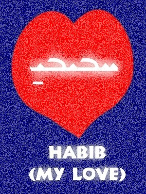The Word Quot Habib Means...