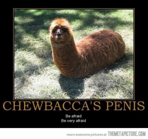 Funny photos funny Alpaca Llama Chewbacca