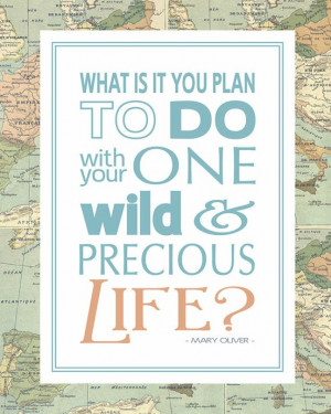 Inspirational Quote: One Wild & Precious Life