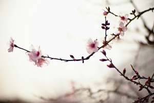 ... you aren’t there.~Angelus Silesius (1624-1677)(Photo: by Moaan