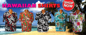 Hawaiian Accessories for Party