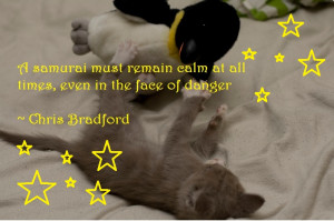 Tackling small business stress: calming inspirational quotes