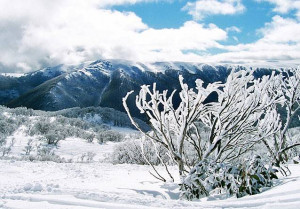 the escape southern hemisphere