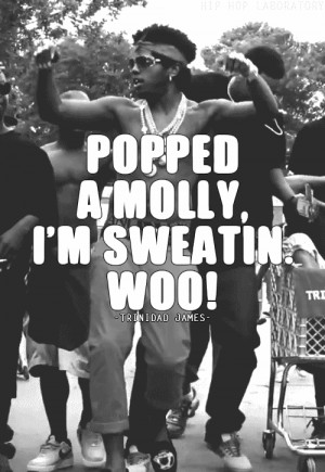 quote hip hop rap 1000 hip-hop Molly Hip Hop Laboratory HHLGIF ...