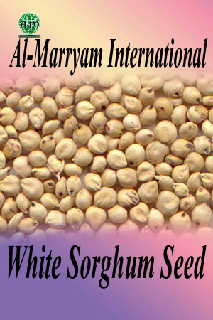 Seed Quality Characteristics